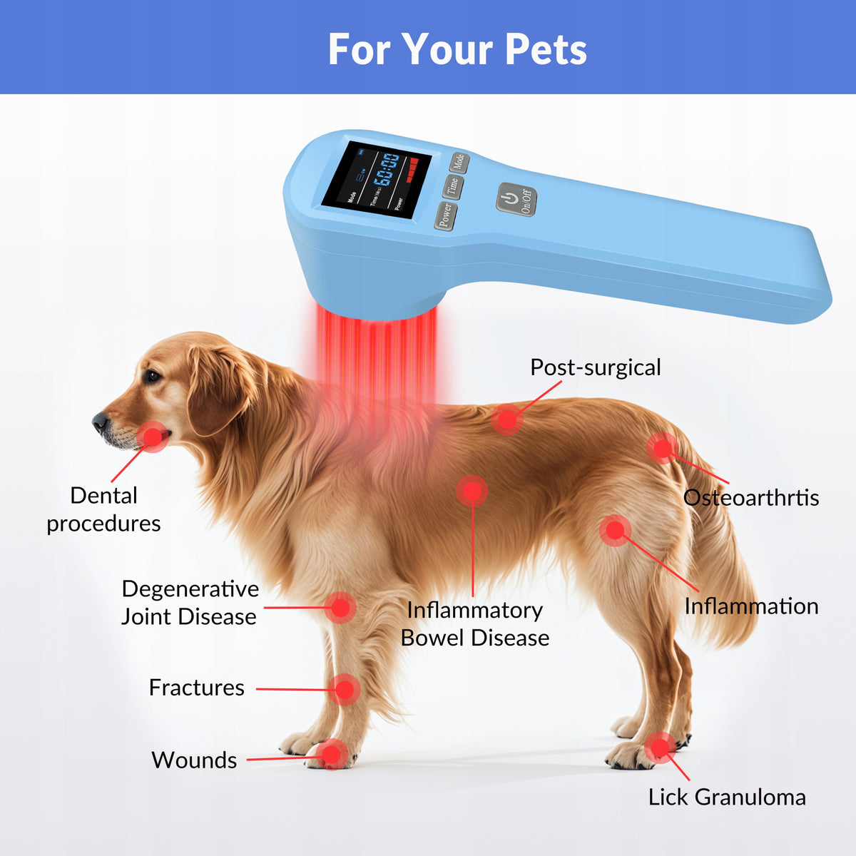 ZJZK LLLT 880mW Cold Laser Therapy Instrument for Pain Relief Arthritis Manufacturer code zjzk