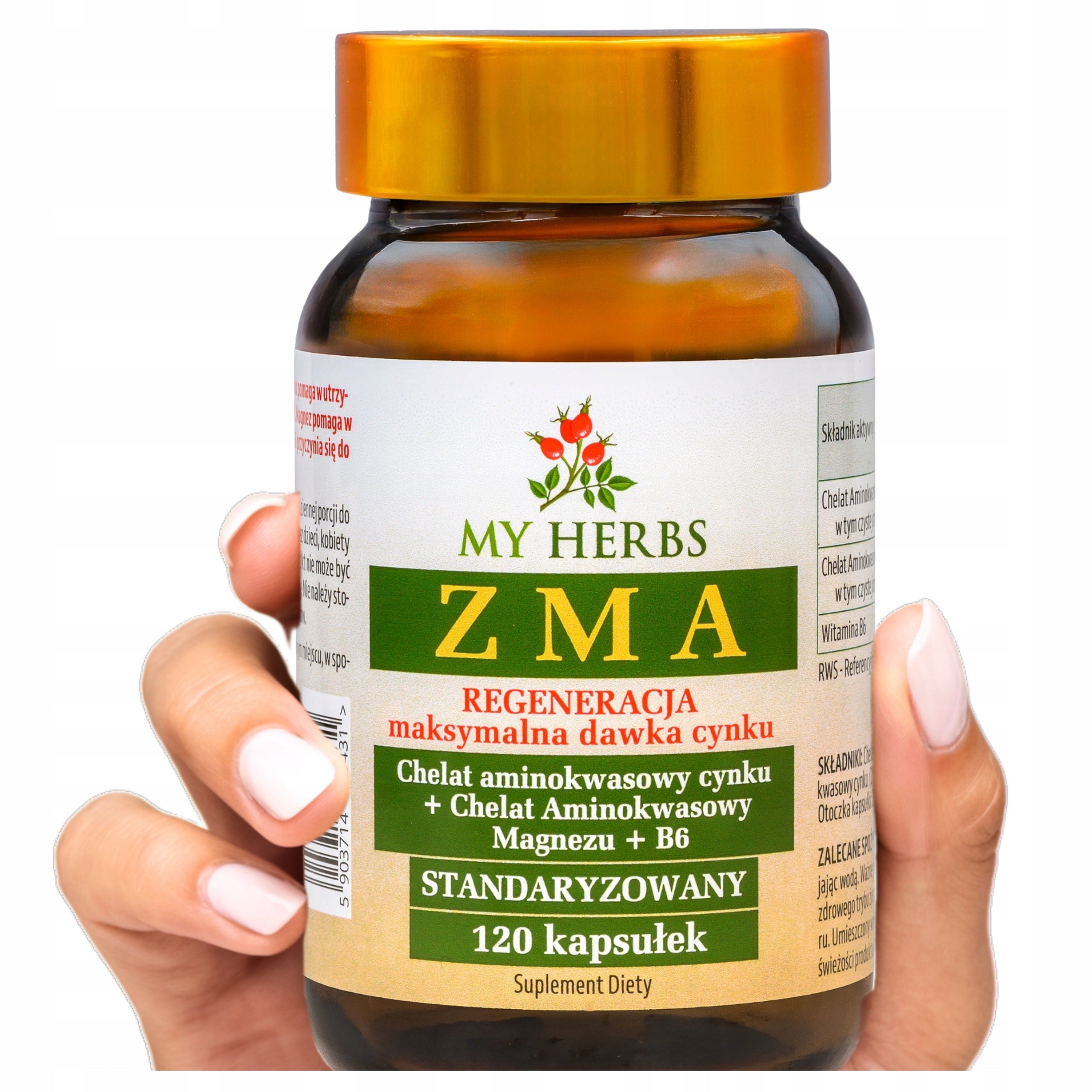 ZMA MAGNESIUM + ZINC + VITAMIN B6 120 KAPS. BOOSTER