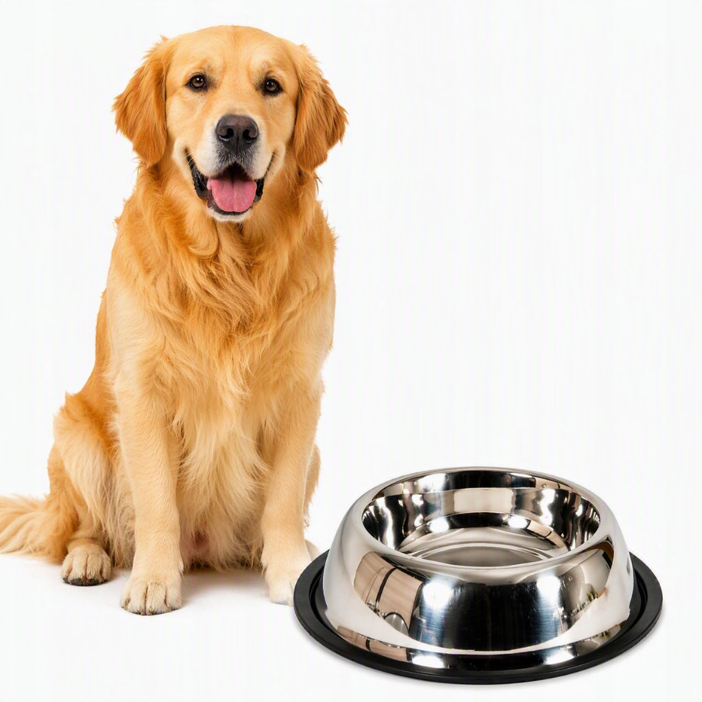 ZOLUX Dog bowl inox non-slip 2,7 l 32,5 cm steel Capacity 2.7 l