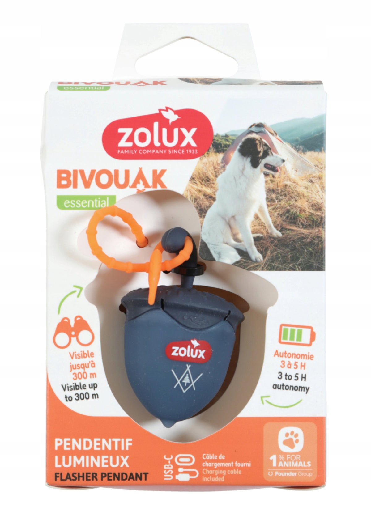 ZOLUX Glowing Dog Collar Pendant Blue WALNUT