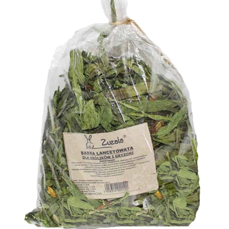 ZUZALA Lancet Babka for rodents 3pcs / A10 Manufacturer code 8312