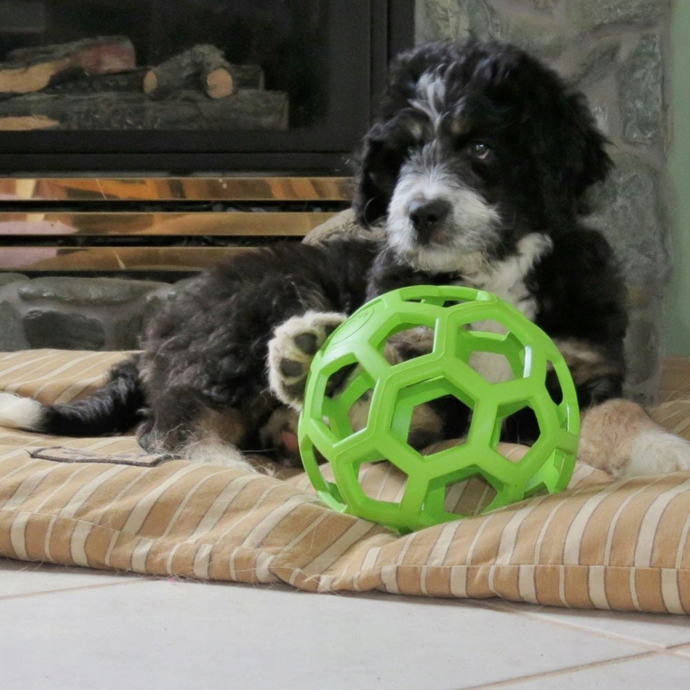 JW Hol-EE Roller Jumbo Spielzeug für Hunde, 19 cm 