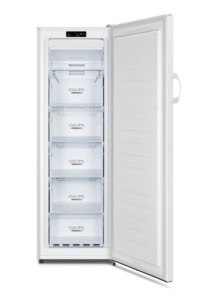 Gorenje FN4171CW 