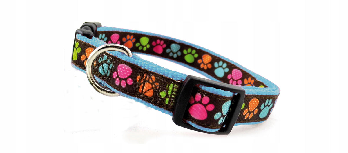 Zappa Dog Collar - size. S Blue