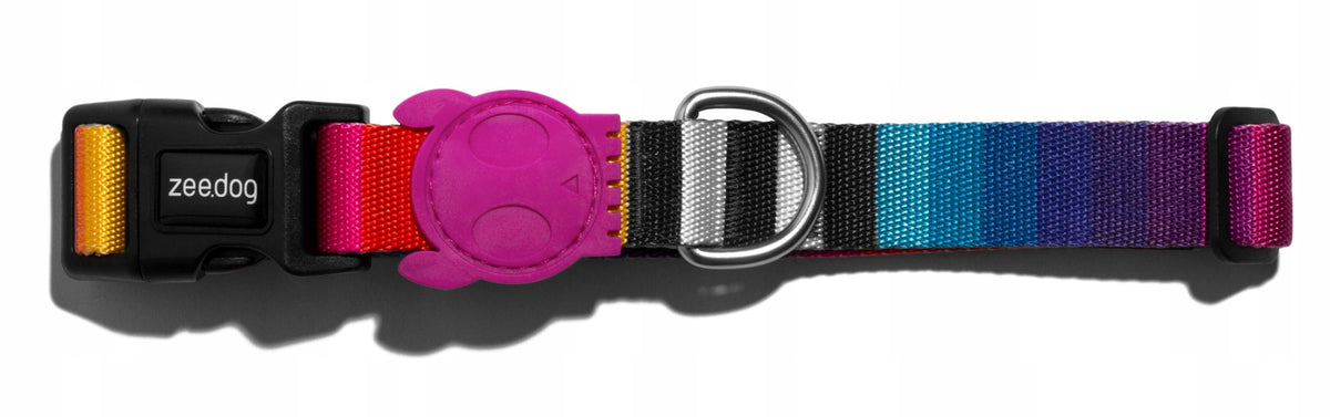 Zee Dog Collar Rainbow Prisma L