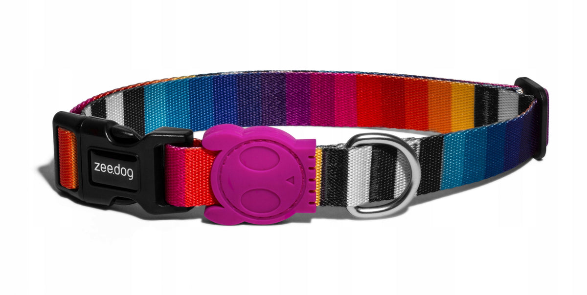 Zee Dog Collar Rainbow Prisma M Brand ZeeDog