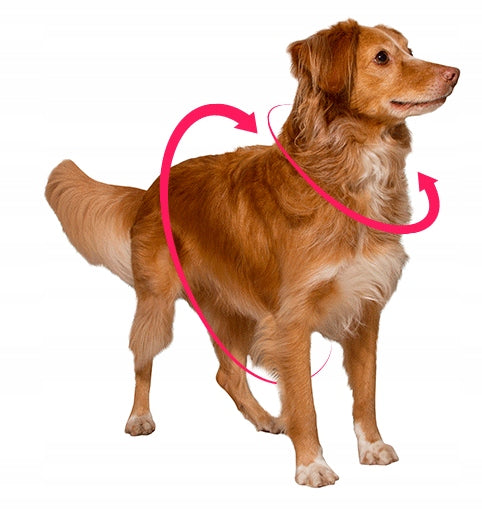 Zee Dog Harness Noon XS Brand ZeeDog