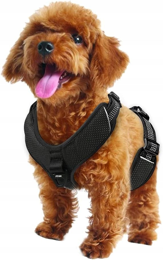 Zellar Non-pulling dog harness L