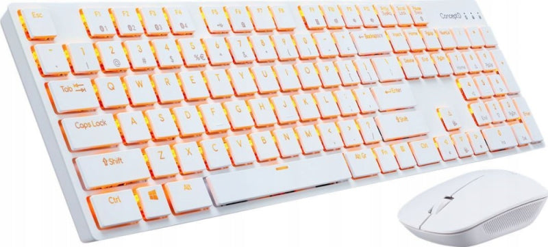 Acer GP.ACC11.013 Native 