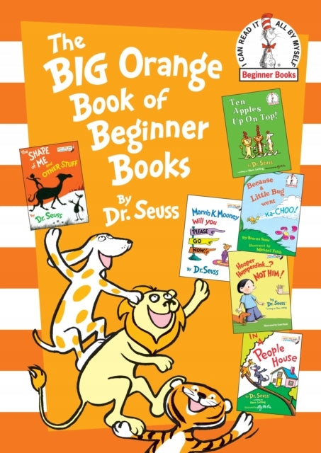 Big Orange Book der Einsteigerbücher 