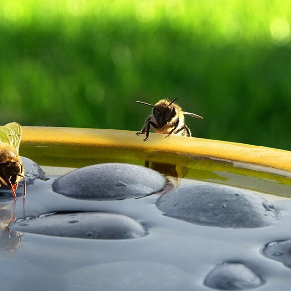 acm DRINKER FOR INSECT BEES WA78 Manufacturer Esschert Design
