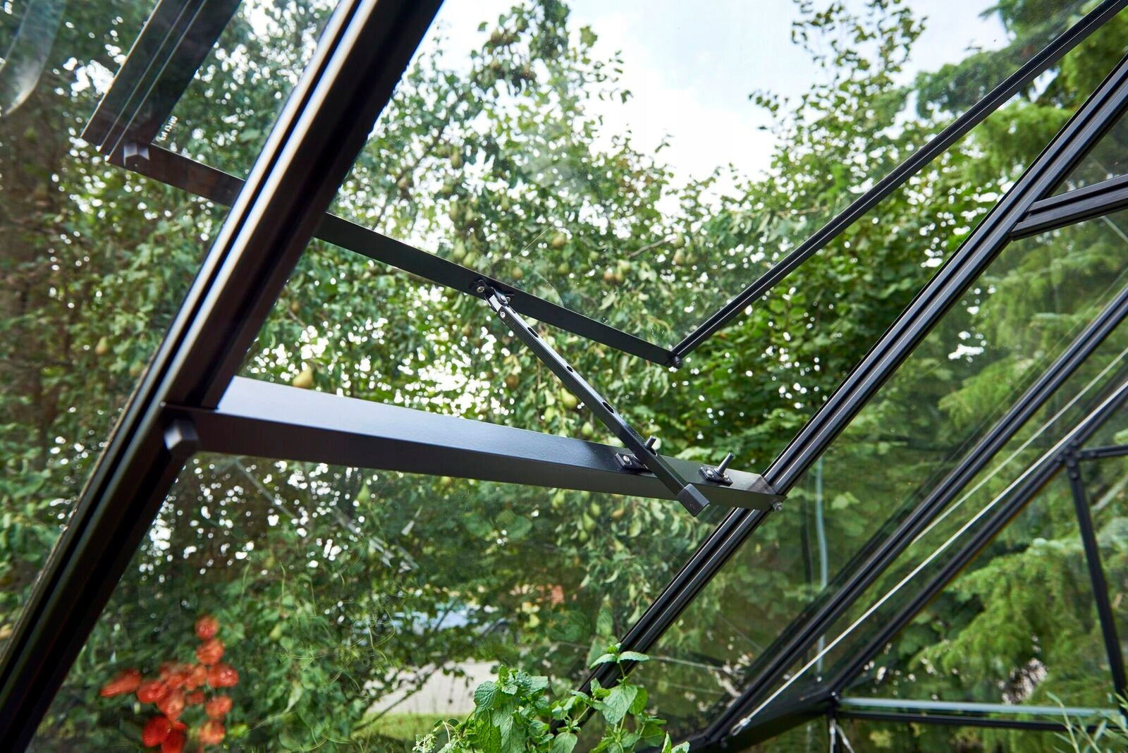acm GREENHOUSE QUBE 610 1,89 x 3,13 m BLACK TEMPERED ALUMINUM GLASS Product weight with unit packaging 198 kg