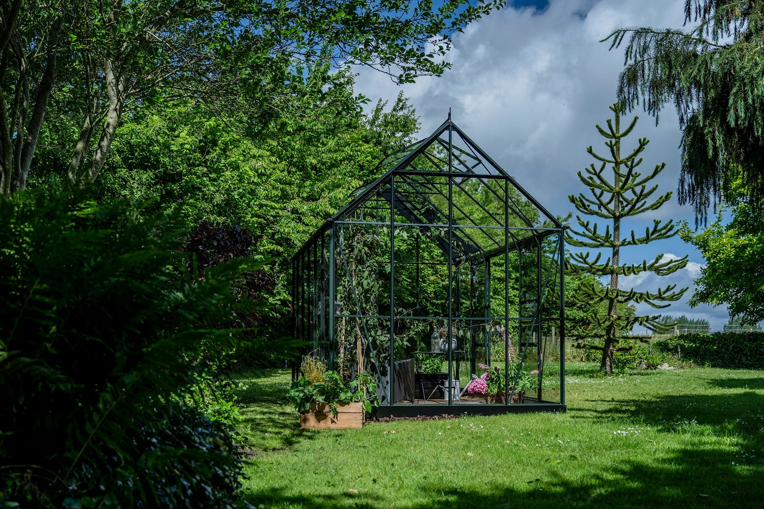 acm Greenhouse ICON PLANTHOUSE 9,7 m2; 2,55 x 3,79 m) tempered glass + base Packaging status original