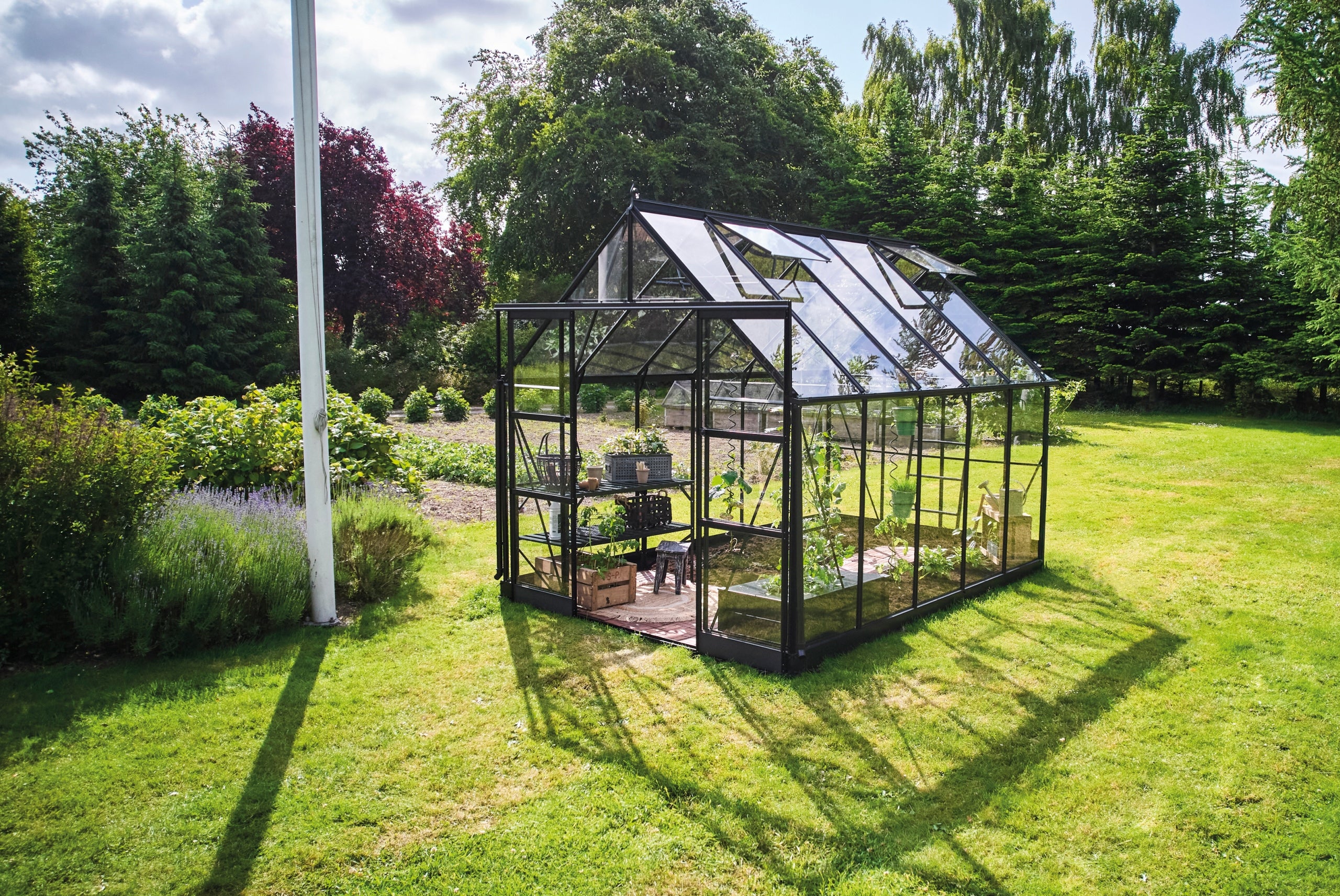 acm ICON aluminium greenhouse 8,1 m2; 2,55 x 3,17 m tempered glass + base Manufacturer Halls