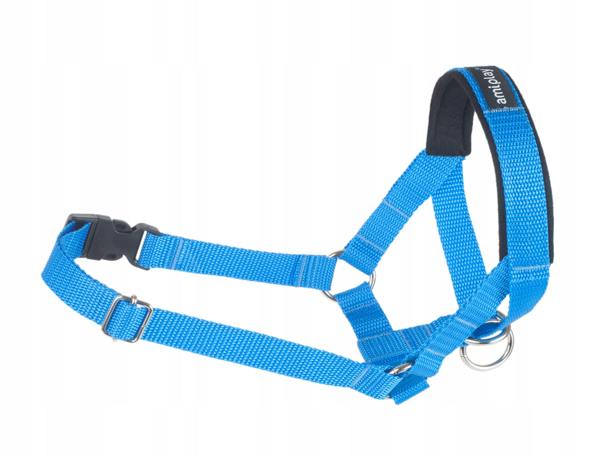amiplay Halter Basic XS Blue Collar