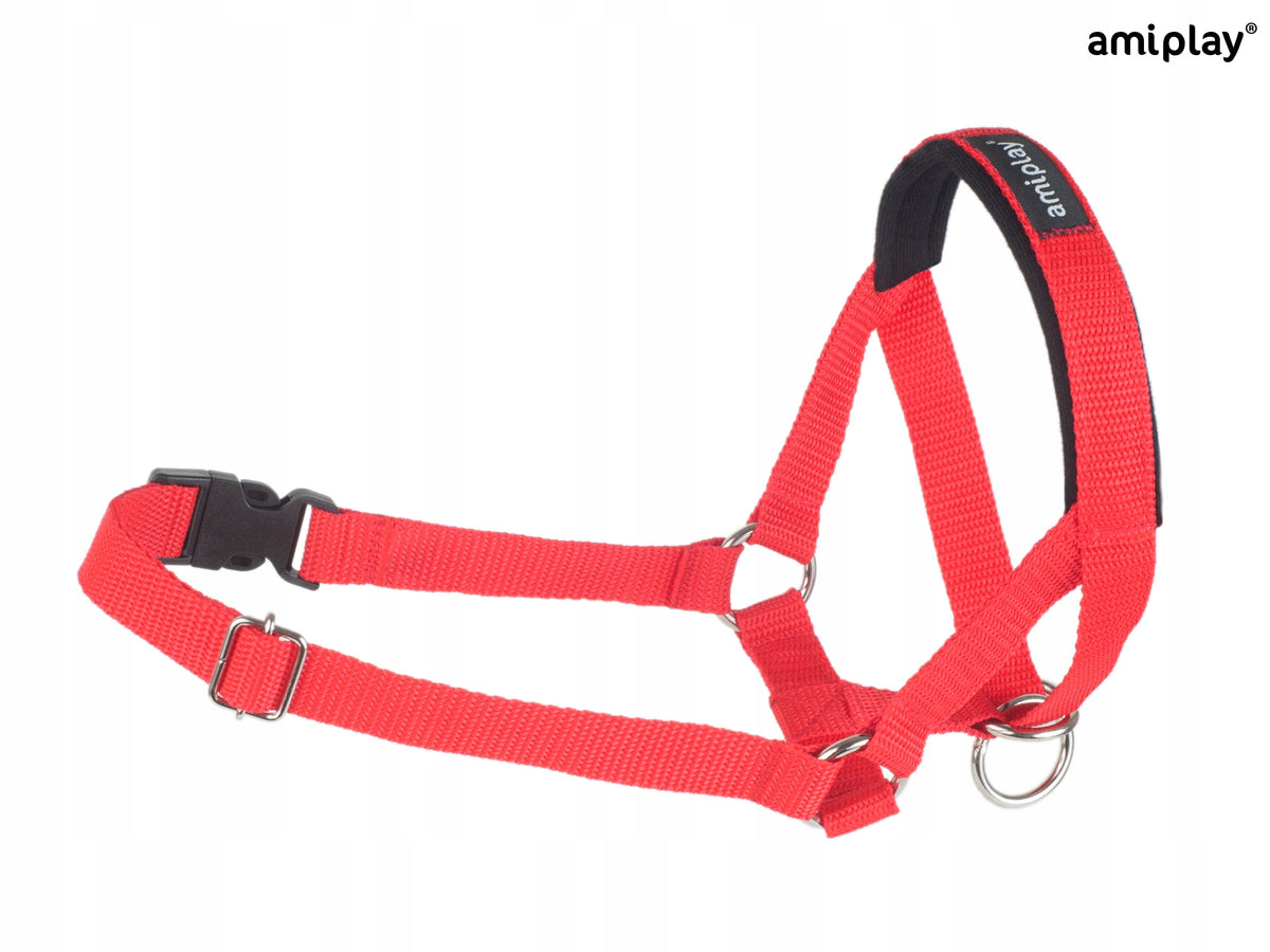 amiplay Halter Basic XS Red Brand Amiplay