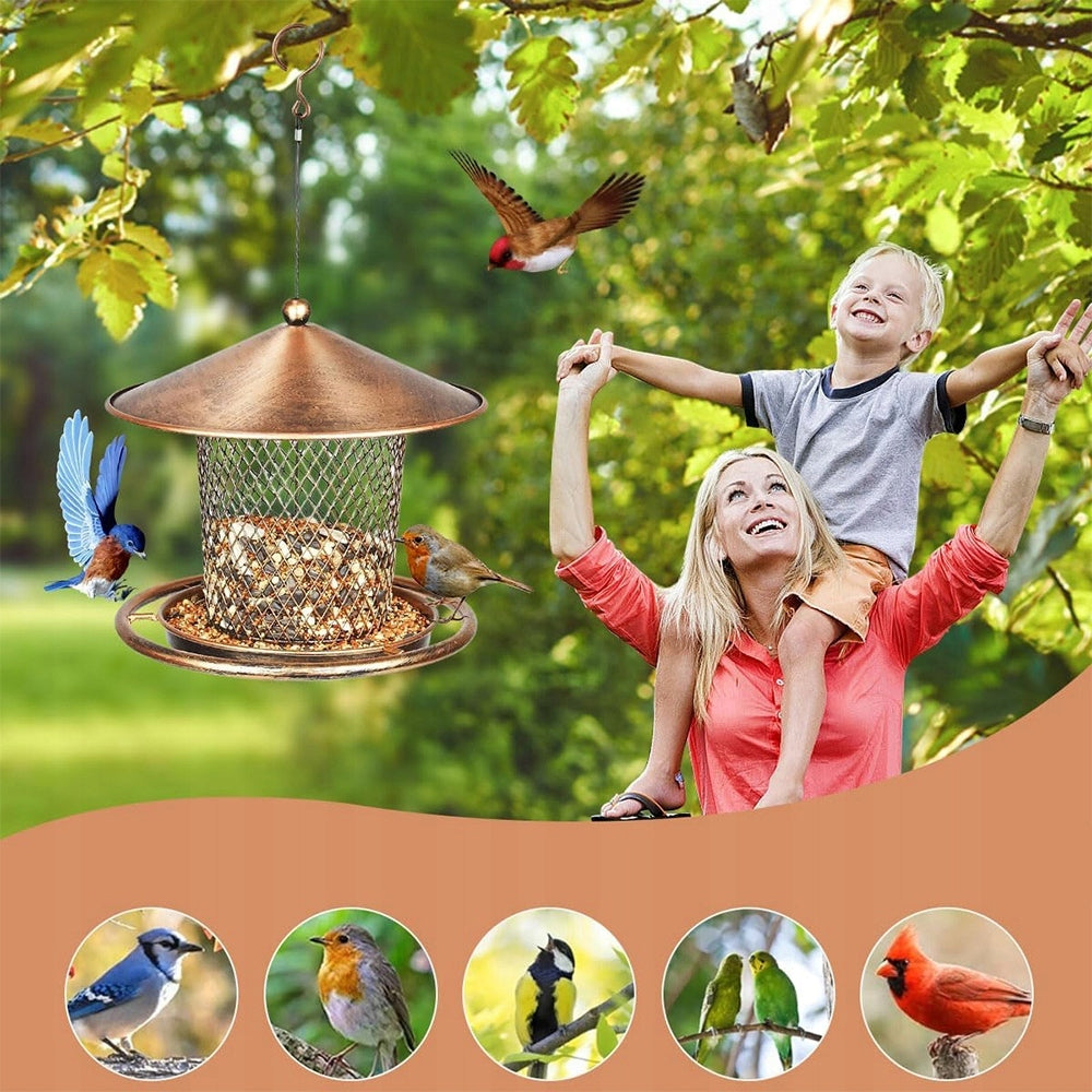 bird feeder booth food house grain hanging Bronze Manufacturer no brand