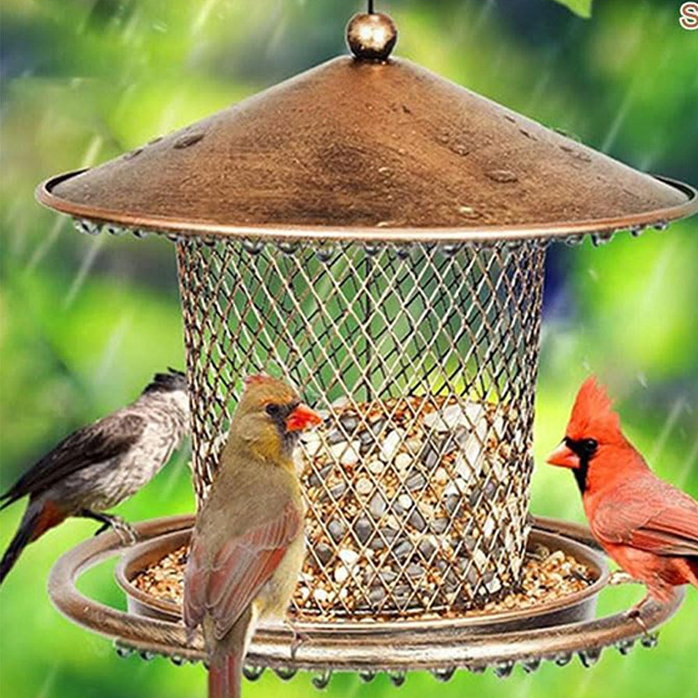 bird feeder booth food house grain hanging Bronze Packaging status original