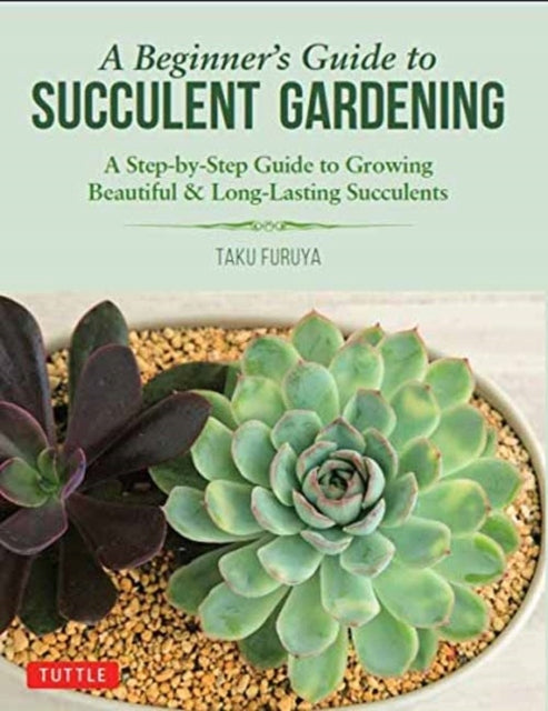 Anfängerleitfaden zum Sukkulenten-Gartenbau: Eine Schritt-für-Schritt-Anleitung zum Züchten schöner und langlebiger Sukkulenten 