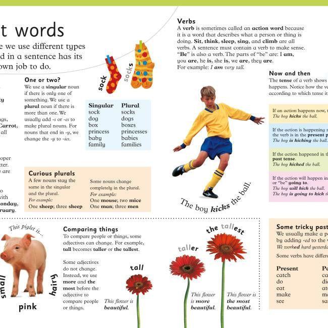 Erstes Kinderwörterbuch: Ein erstes Nachschlagewerk für Kinder 