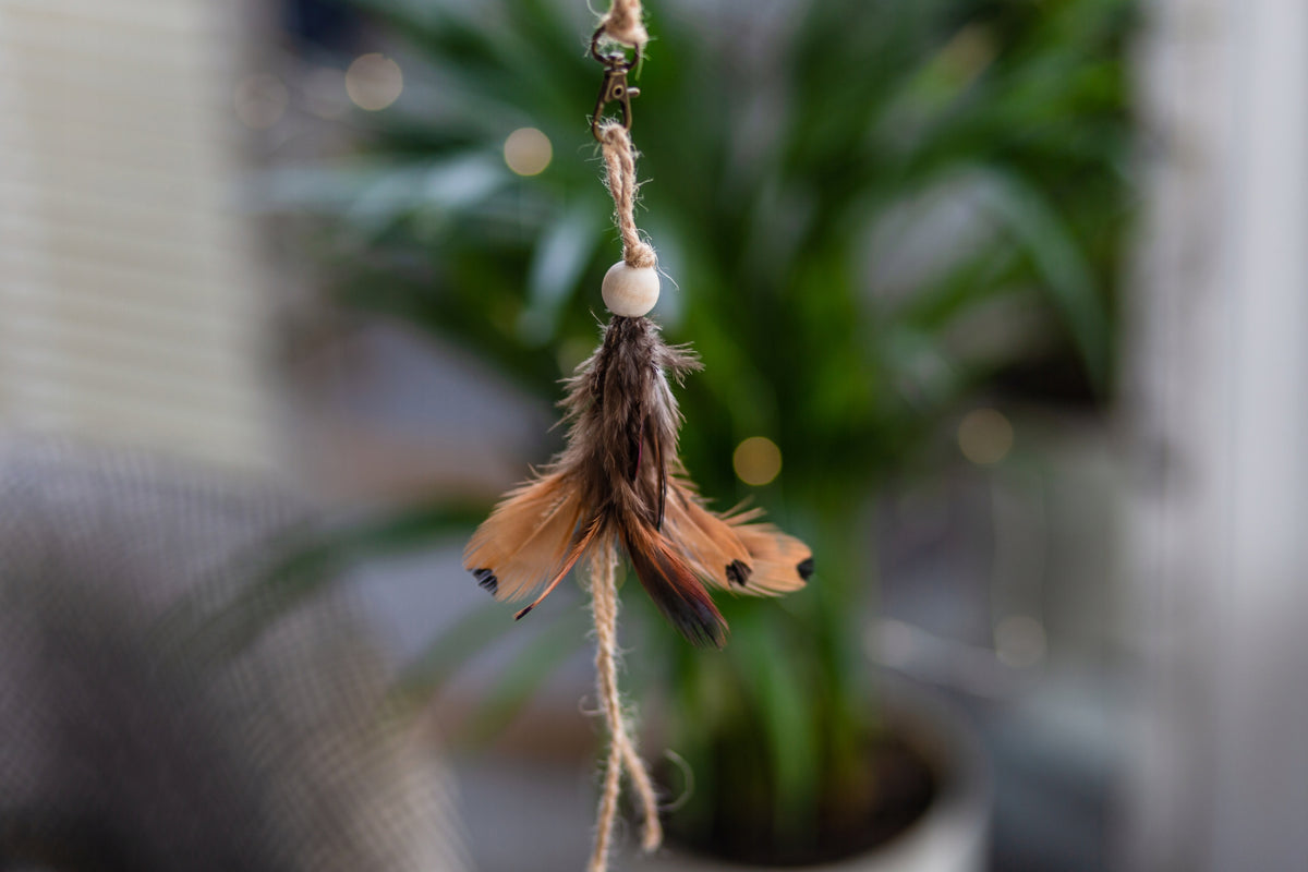 cat toy eco-friendly string THE MISS CAT Brand The Miss Cat