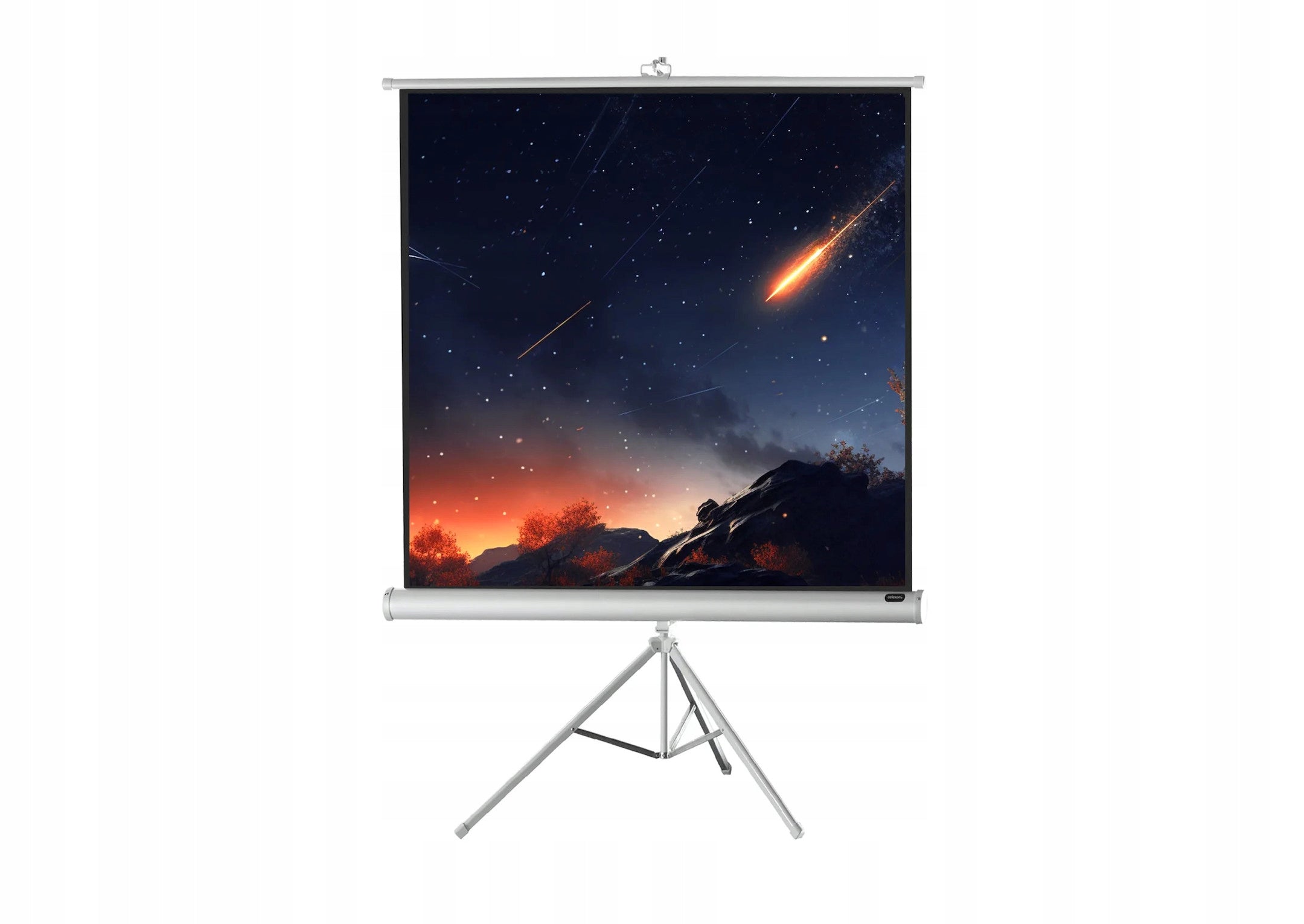 celexon Economy 219 x 219 cm projection screen on tripod - White edition