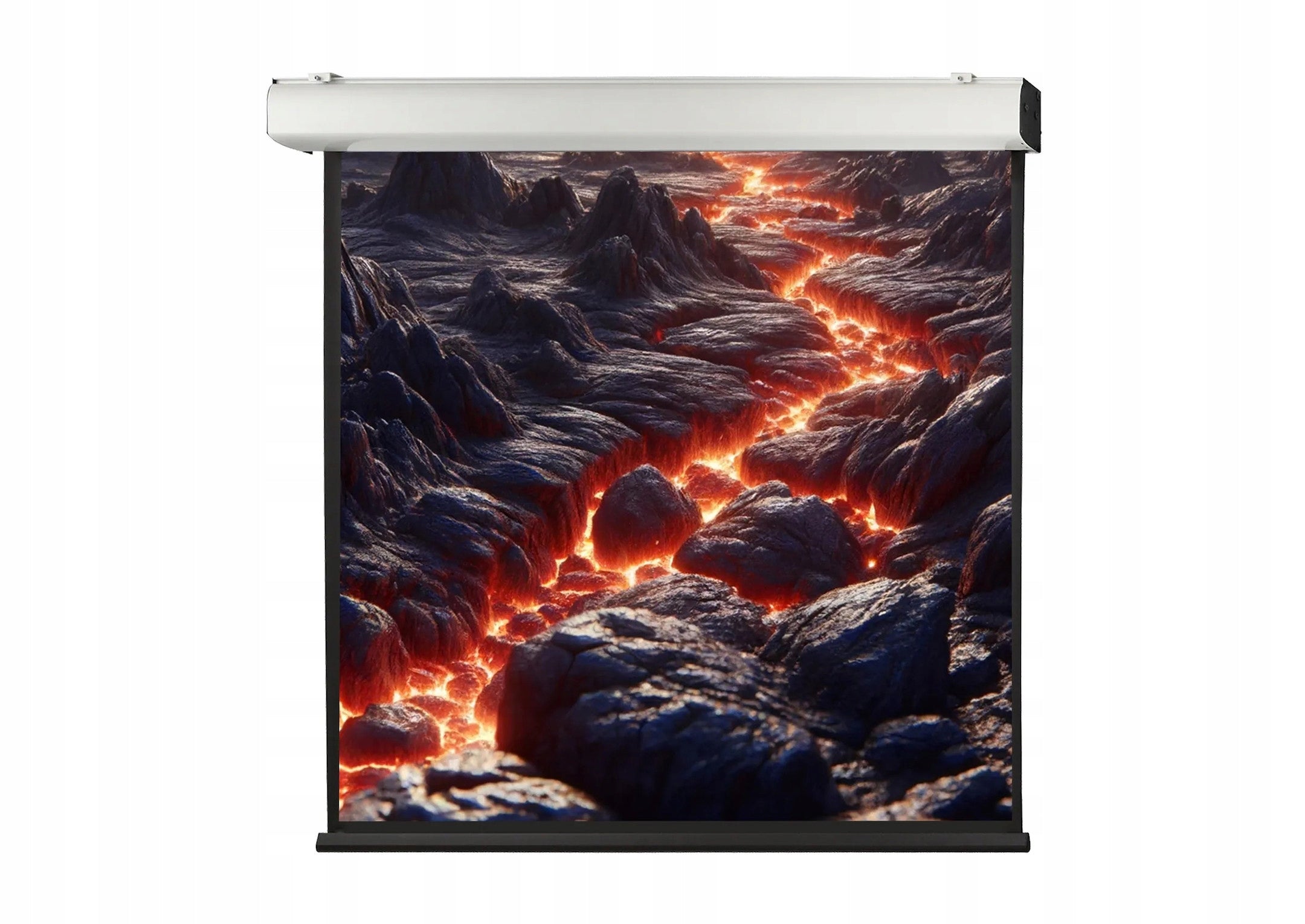 celexon Expert XL 350 x 350 cm electric projection screen 1:1 (199")