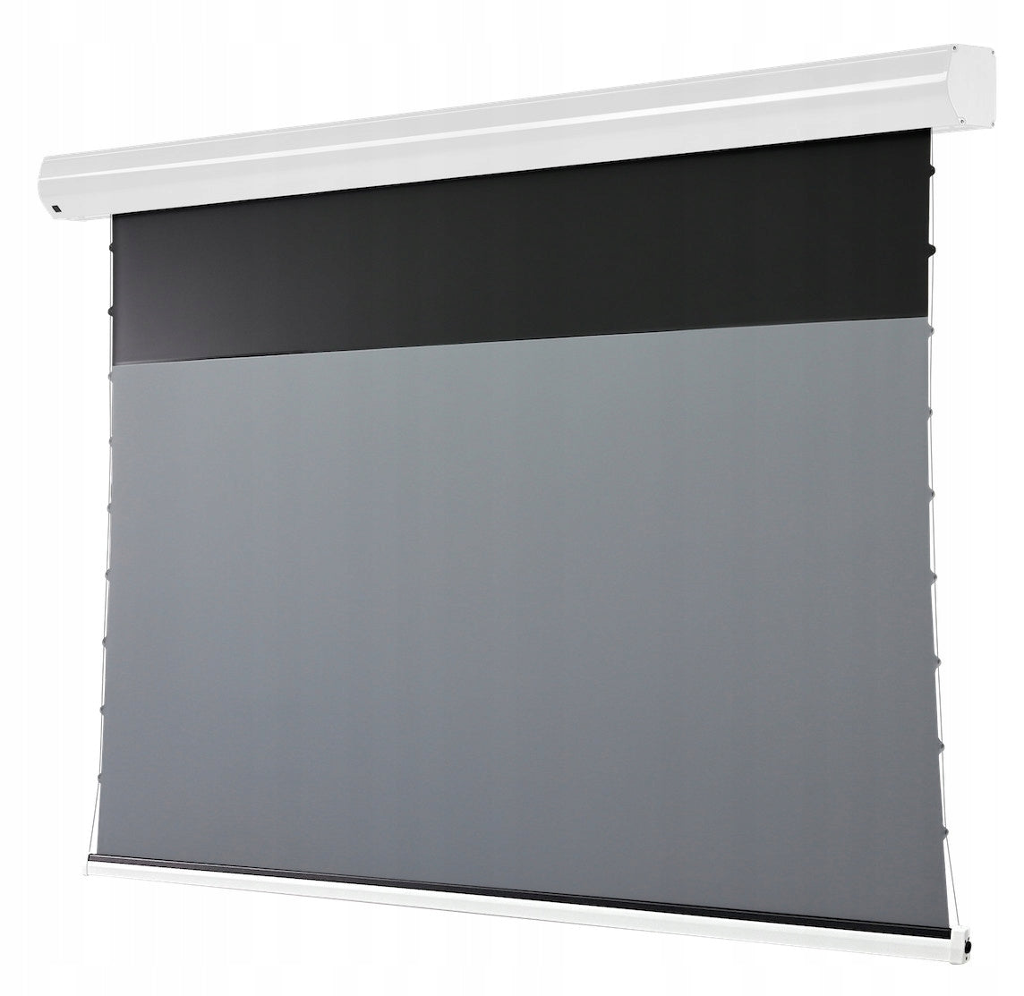 celexon Projector screen Screen Electric HomeCinema Plus with tensioning Model 1000037087