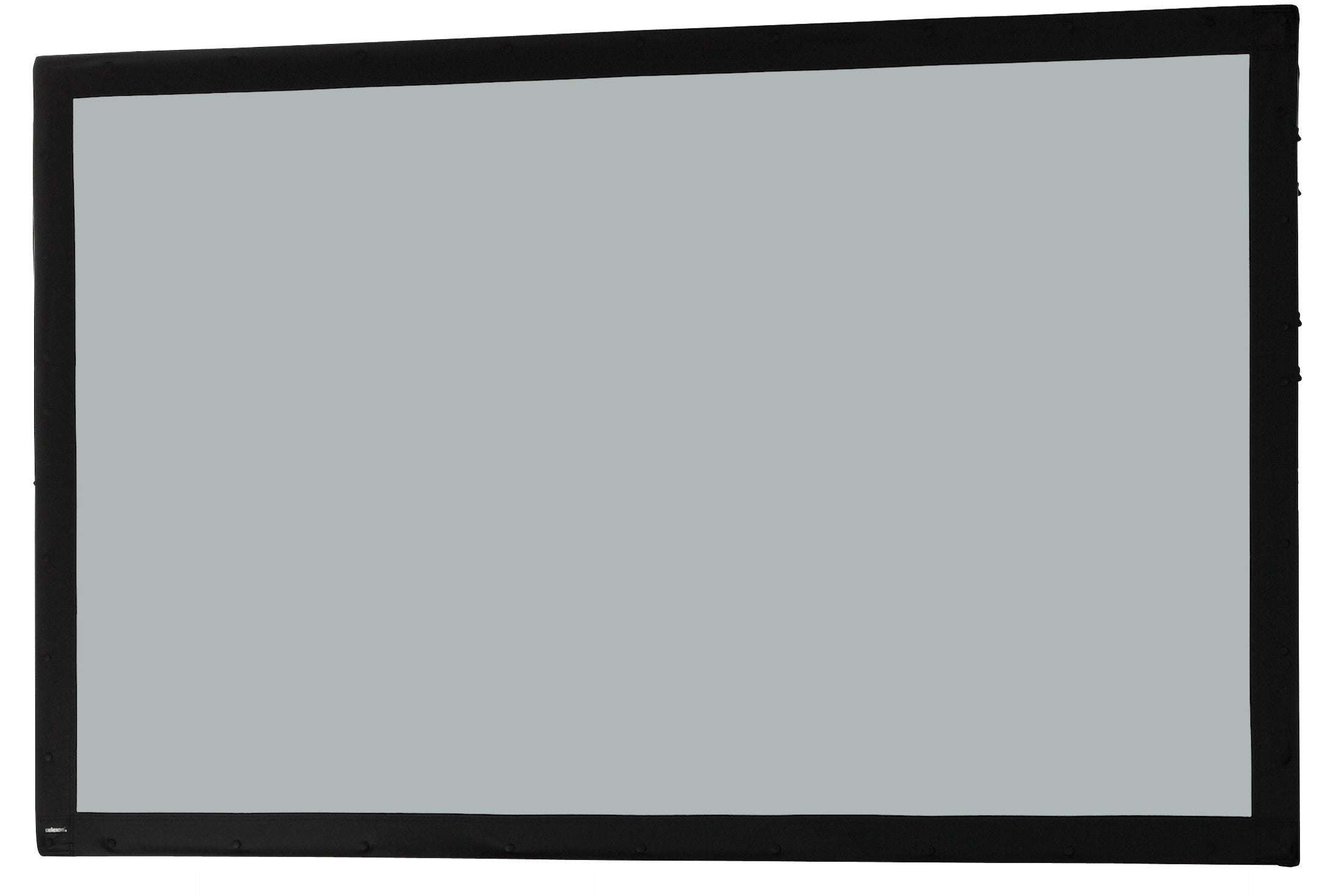 celexon projection fabric 244 x 152 cm for Mobile Expert frame screen