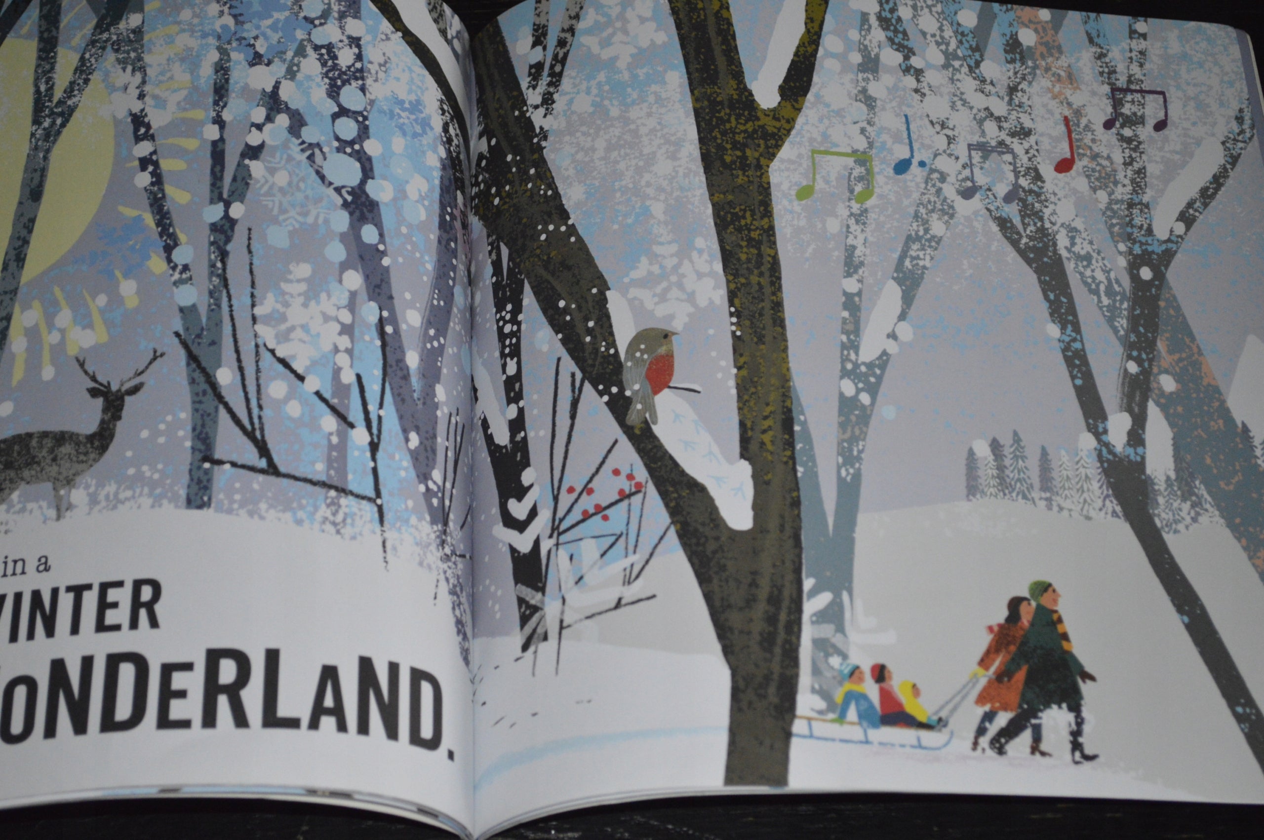 Wandern in einem Winterwunderland 