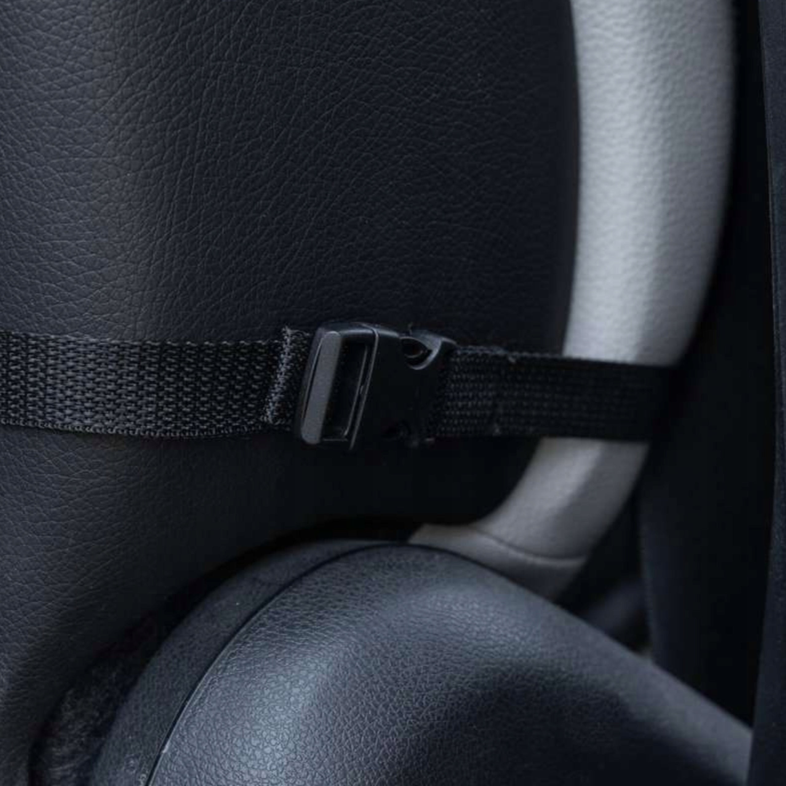 dog carrier car seat bed waterproof premium engraving Product height 15 cm
