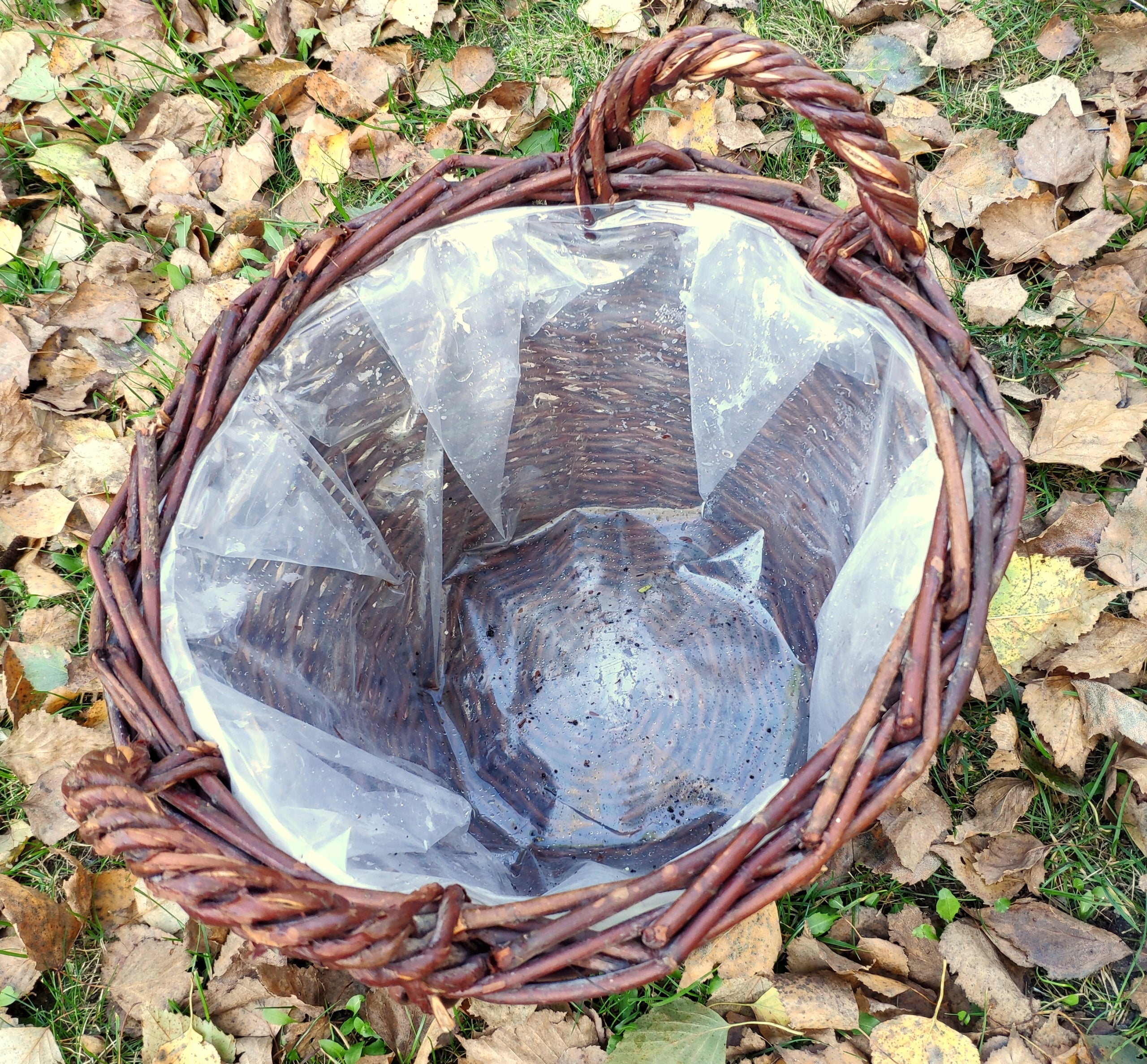 Vazonas iš vytelių, 22 cm, aukštos kokybės