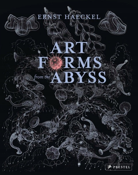 Art Forms from the Abyss: Ernst Haeckel's Images From The HMS Challenger Expedition