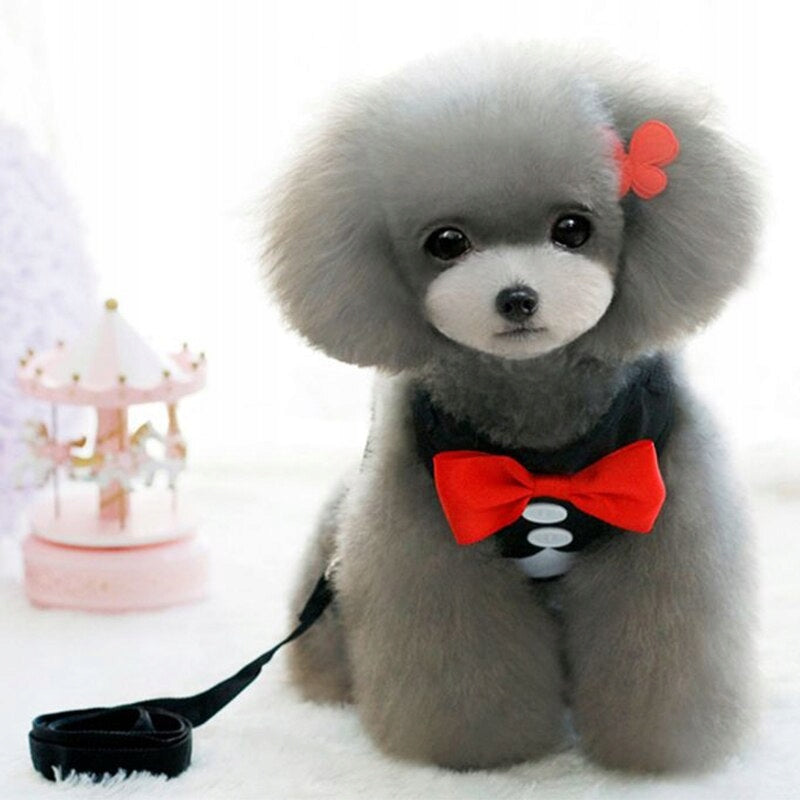 elegant harness leash dog cat suit Roz m Brand Goodking