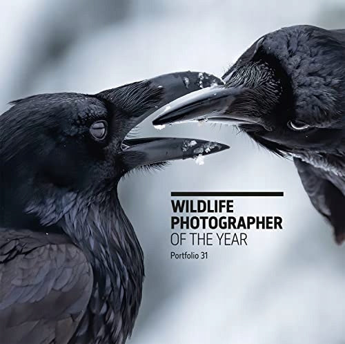 Naturfotograf des Jahres: Portfolio 31 