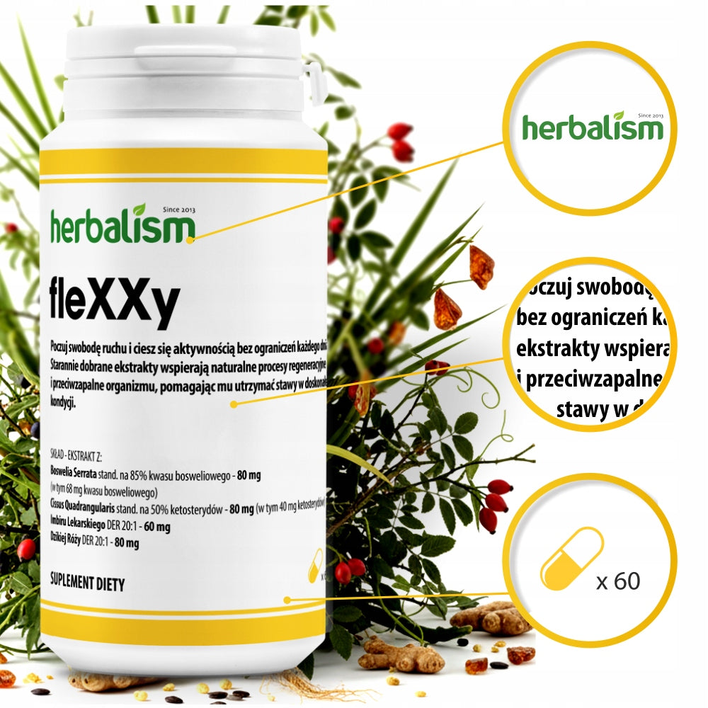 fleXXy JOINTS - PAIN - FLEXIBILITY - RECONSTRUCTION EAN (GTIN) 5905331196161