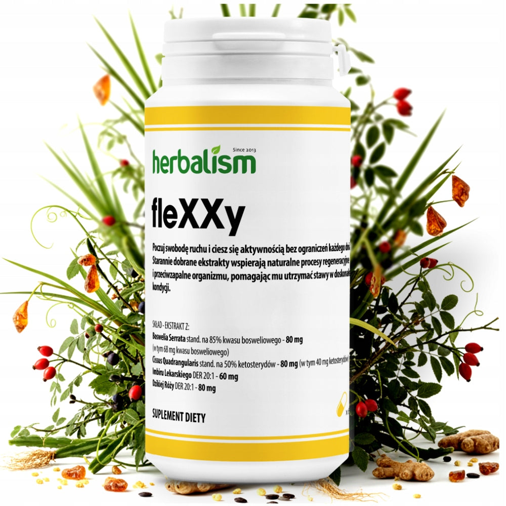 fleXXy JOINTS - PAIN - FLEXIBILITY - RECONSTRUCTION