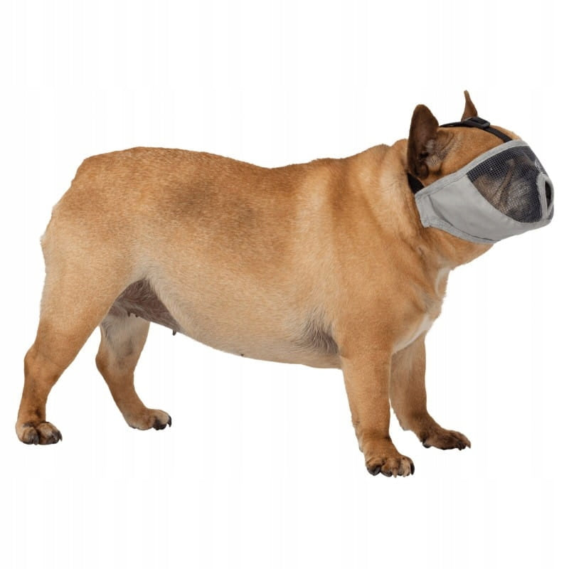 muzzle for short-faced dogs [size S] Brand Trixie