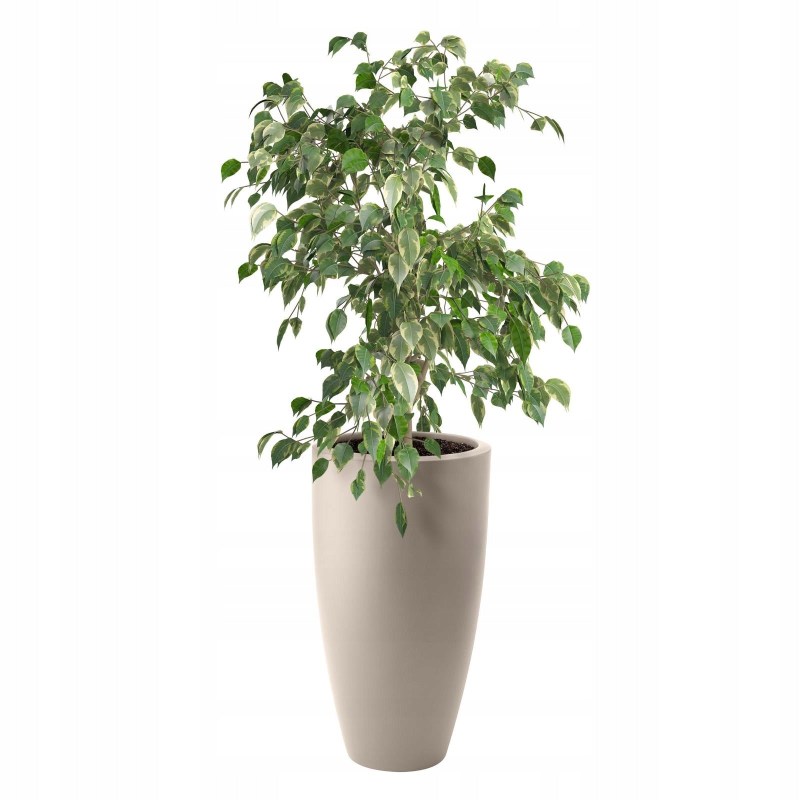 smooth matte beige planter slim high JUNE ROUND 30/53 beige ELHO round Color beige