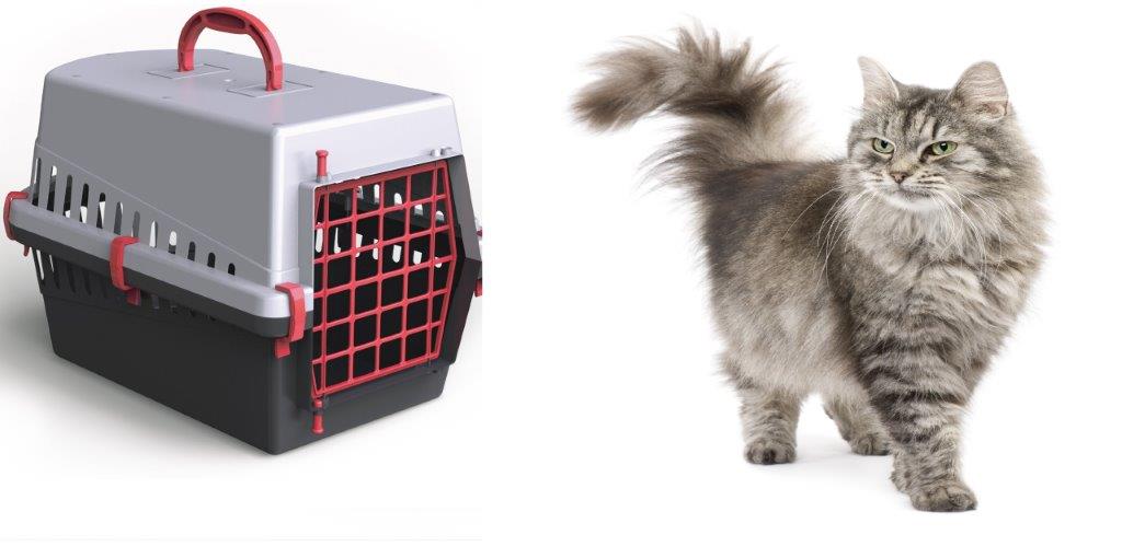 transporter for cat dog RABBIT CHINCHILLA FERRETS Manufacturer code 2002 0350