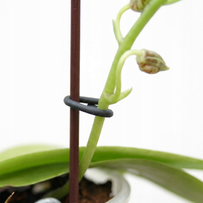 x10 CLIP HOOK COATED WIRE FOR ORCHIDS FASTENING ORCHID FLOWERS Brand no brand