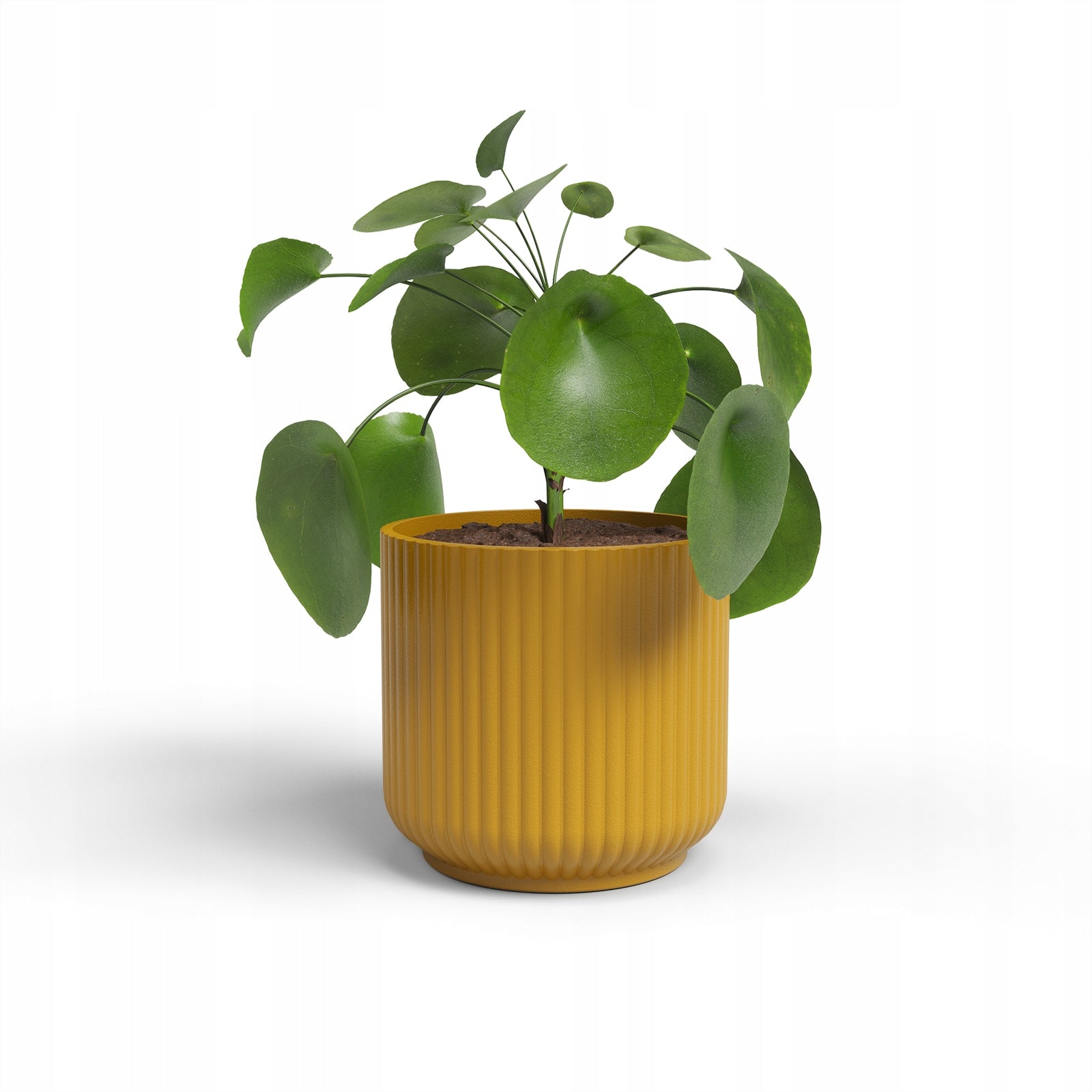 yellow ceramic pot LUNA 11 round casing ceramic stripes texture Material ceramic